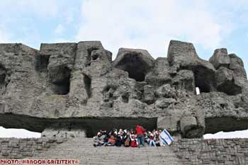 IMG_ (10784)